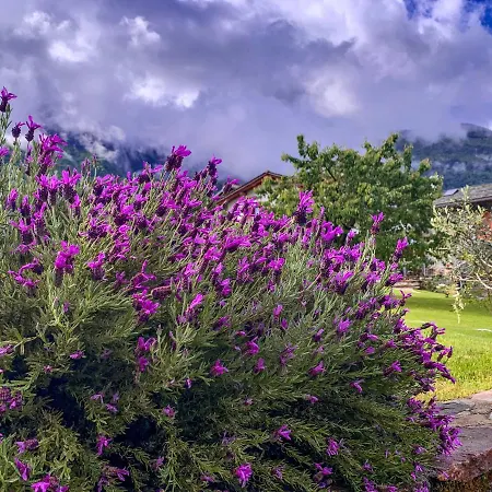 Сasa de vacaciones La Roggia - Historic Molino Maufet Watermill - Colico