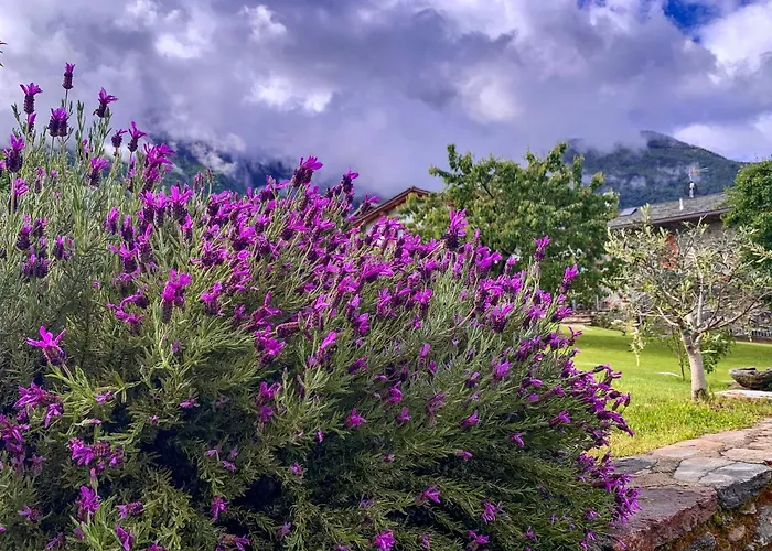 Feriehus La Roggia - Historic Molino Maufet Watermill - Colico