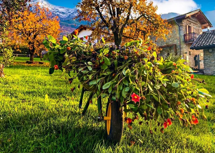 Feriehus La Roggia - Historic Molino Maufet Watermill - *